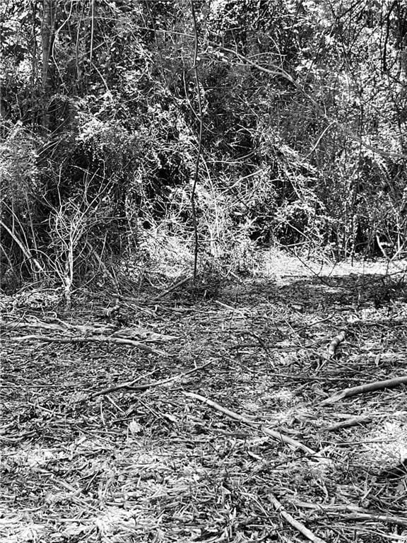 10ACRES Chess Gerald Rd, Franklinton, LA 70438