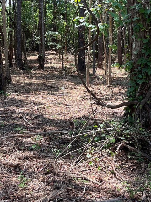 10ACRES Chess Gerald Rd, Franklinton, LA 70438