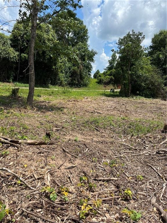 10ACRES Chess Gerald Rd, Franklinton, LA 70438