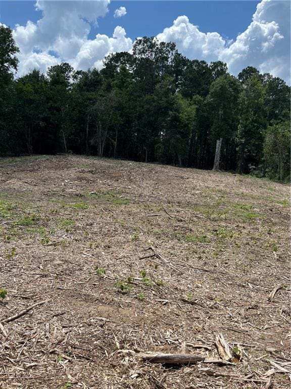 10ACRES Chess Gerald Rd, Franklinton, LA 70438