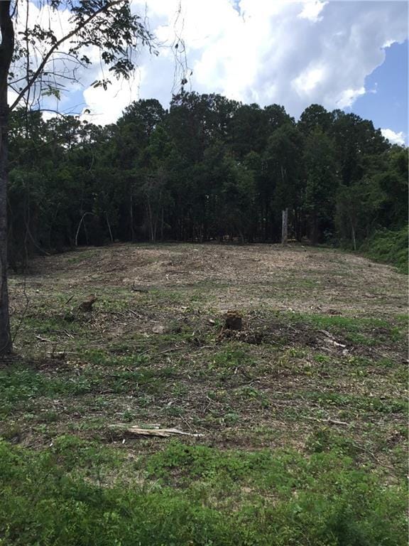 10ACRES Chess Gerald Rd, Franklinton, LA 70438