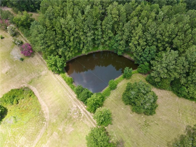 19632 Carol Morgan Rd, Franklinton, LA 70438 - drone / aerial view of a nearby body of water