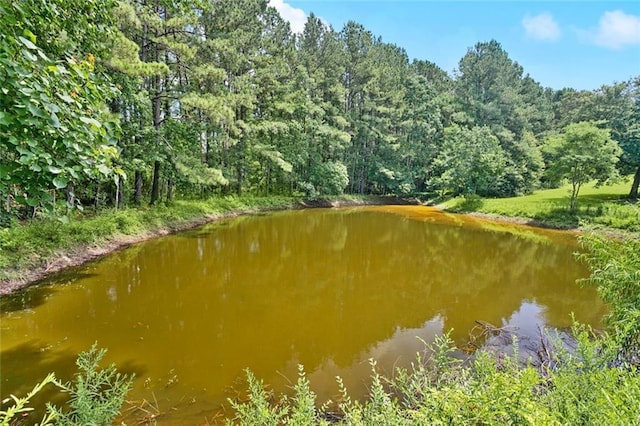 19632 Carol Morgan Rd, Franklinton, LA 70438 - water view with a forest