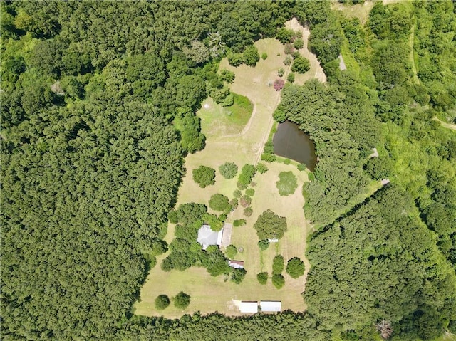 19632 Carol Morgan Rd, Franklinton, LA 70438 - aerial overview of property's location
