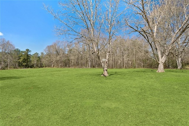 80695 Bob Baxter Rd, Bush, LA 70431 - view of green lawn