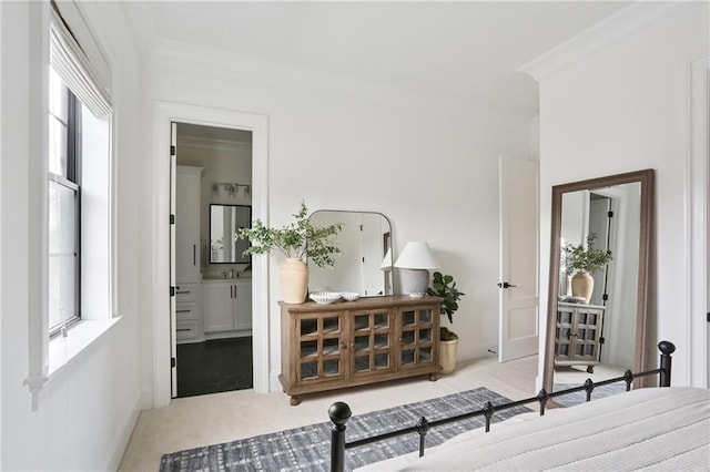 303 W William David Pkwy, Metairie, LA 70005 - bedroom with carpet, multiple windows, and ensuite bathroom