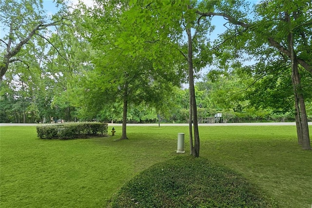 640 Tete Lours Dr Unit 11, Mandeville, LA 70471 - photo 17
