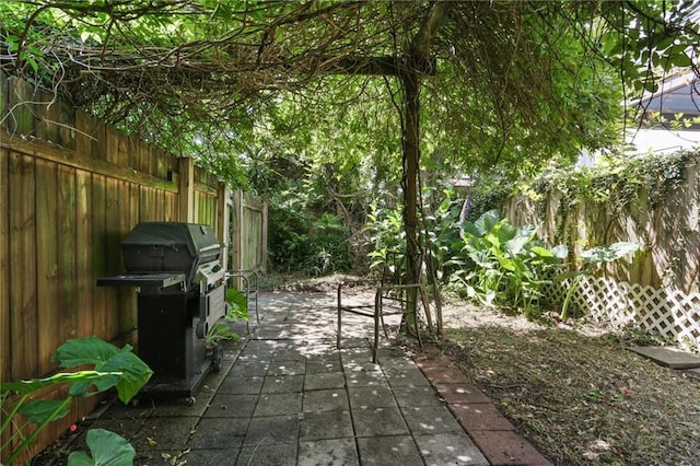820-22 N Salcedo St, New Orleans, LA 70119 - view of patio / terrace with area for grilling