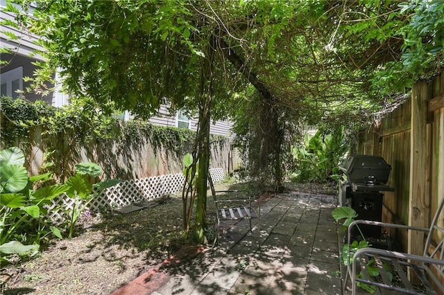 820-22 N Salcedo St, New Orleans, LA 70119 - fenced backyard featuring a patio area and a grill