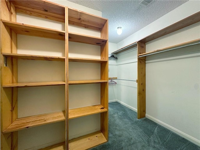 118 Golden Pheasant Dr, Slidell, LA 70461 - walk in closet featuring carpet
