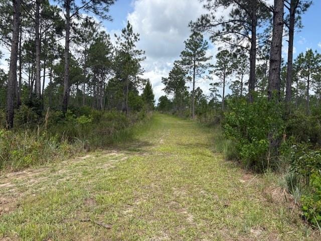 000 Viola St, Bay Saint Louis, MS 39520 - photo 1