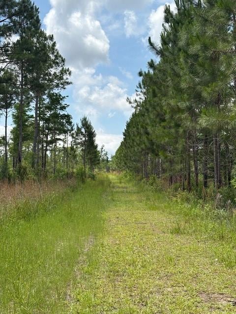 000 Viola St, Bay Saint Louis, MS 39520 - photo 5