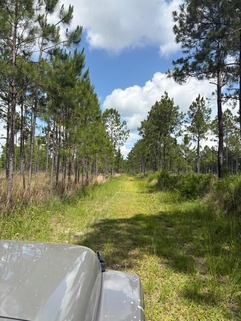000 Viola St, Bay Saint Louis, MS 39520 - photo 6
