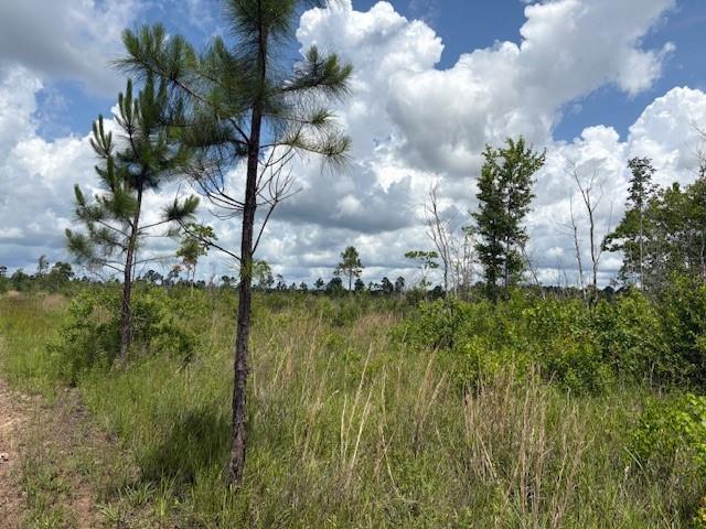 000 Viola St, Bay Saint Louis, MS 39520 - photo 7