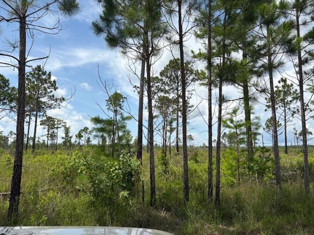 000 Viola St, Bay Saint Louis, MS 39520 - photo 9