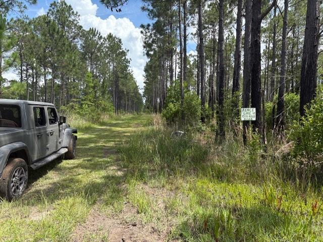 000 Viola St, Bay Saint Louis, MS 39520 - photo 10