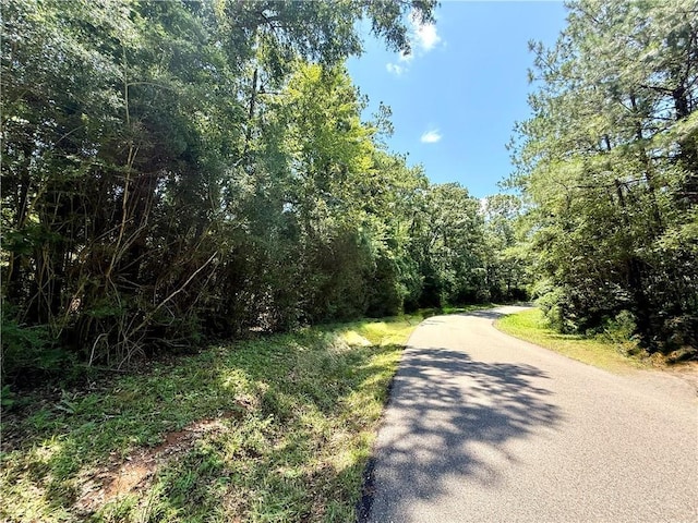 Lake Choctaw Dr, Franklinton, LA 70438 - photo 1