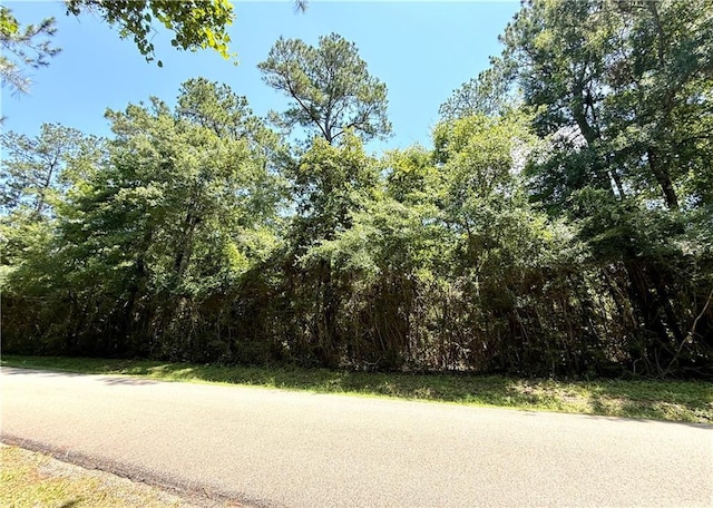 Lake Choctaw Dr, Franklinton, LA 70438 - photo 2