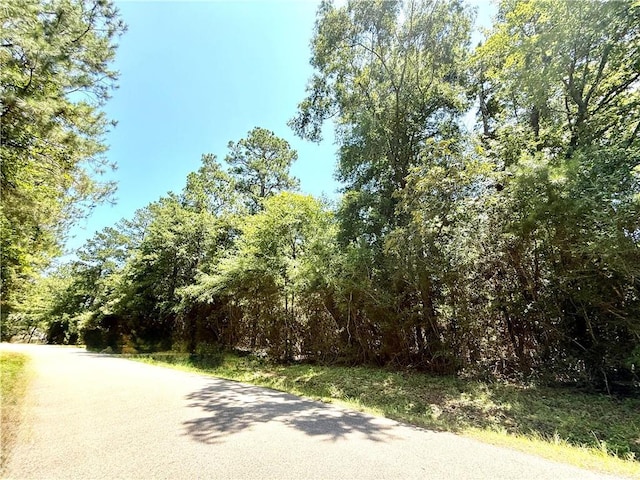 Lake Choctaw Dr, Franklinton, LA 70438 - photo 3