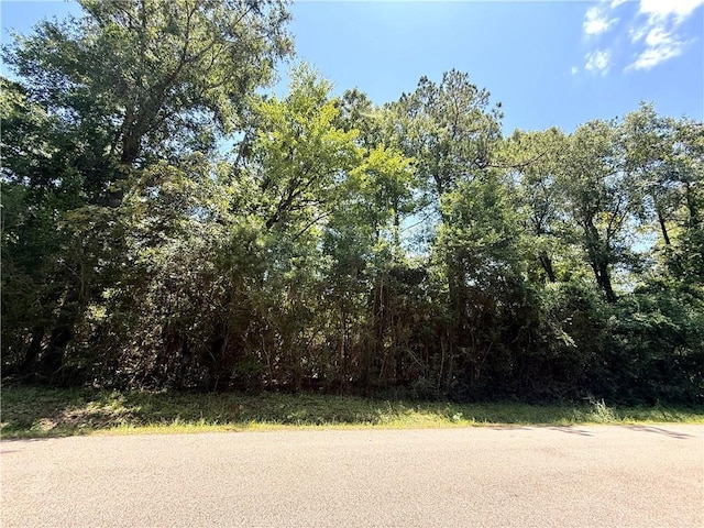 Lake Choctaw Dr, Franklinton, LA 70438 - photo 4