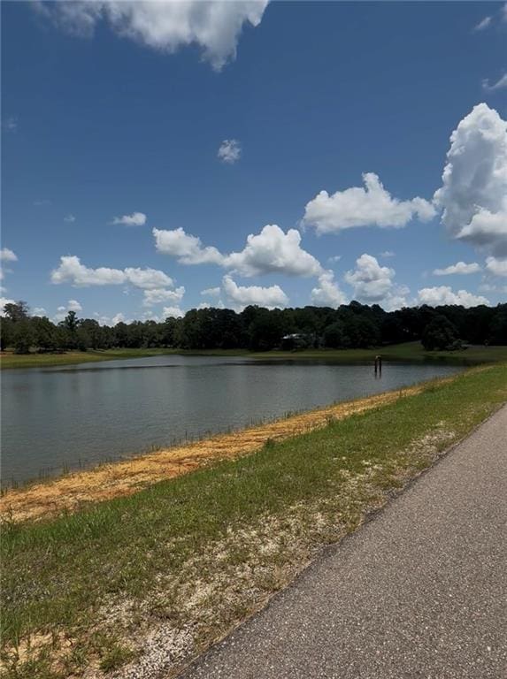 Lake Choctaw Dr, Franklinton, LA 70438 - photo 5