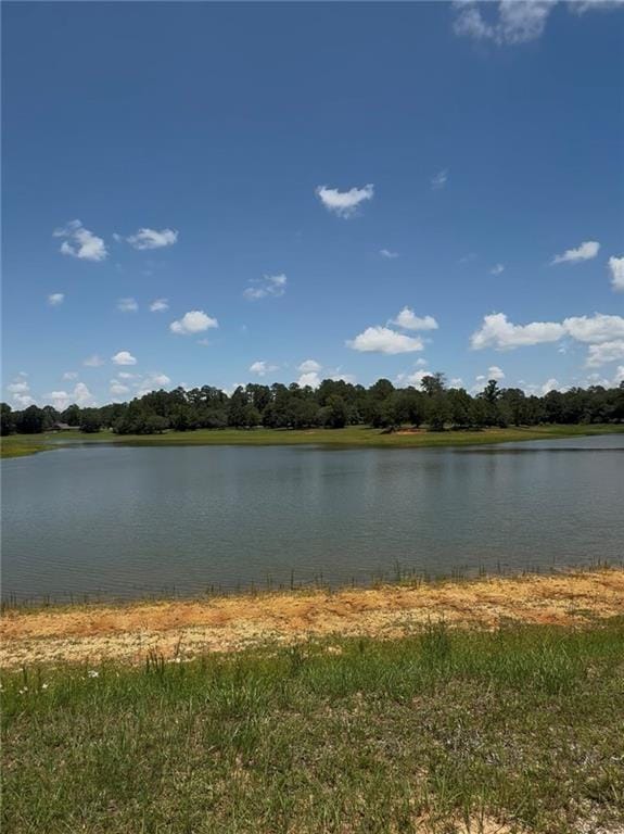 Lake Choctaw Dr, Franklinton, LA 70438 - photo 6