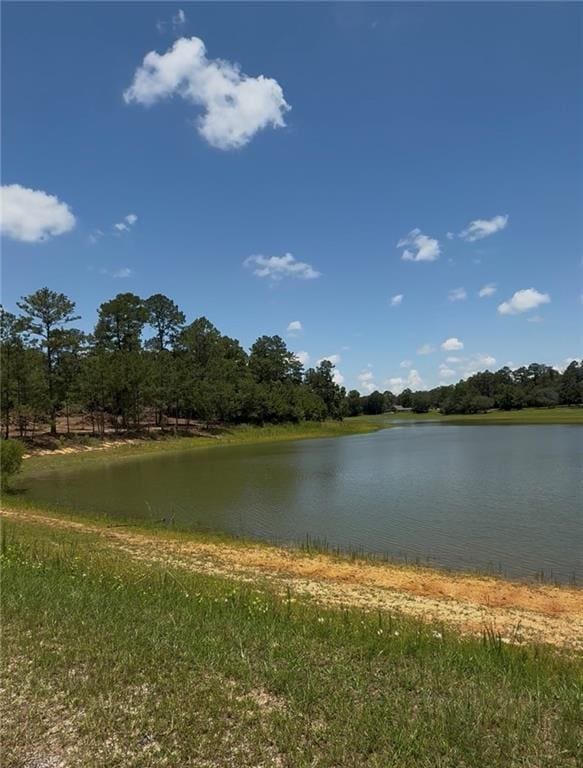 Lake Choctaw Dr, Franklinton, LA 70438 - photo 7
