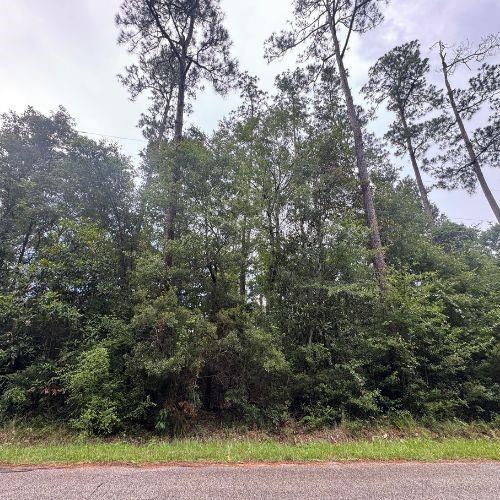 0 W Ruth Rd, Lacombe, LA 70445