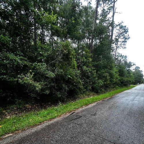 0 W Ruth Rd, Lacombe, LA 70445