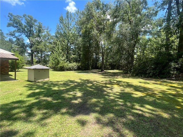 45156 Jenkins Rd 2 Rd, Franklinton, LA 70438 - view of grassy yard with a storage unit