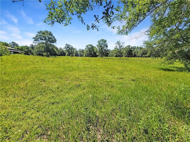 530 Geronimo Dr, Covington, LA 70435 - photo 2
