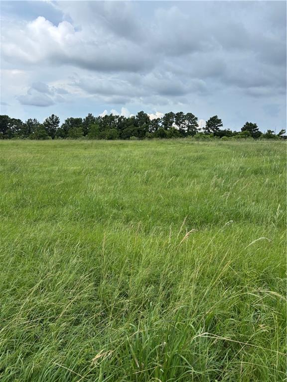 LOT54 S Chenier Dr, Madisonville, LA 70447 - photo 4