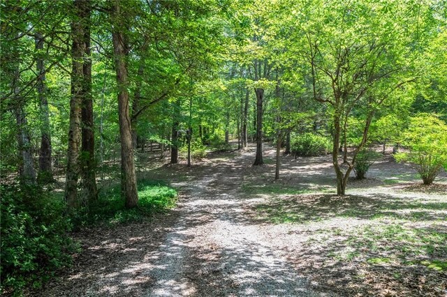81011 Bob Baxter Rd, Bush, LA 70431 - view of road with a wooded view