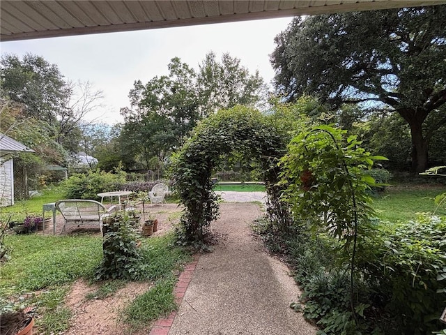 72075 Gum St, Abita Springs, LA 70420 - view of yard