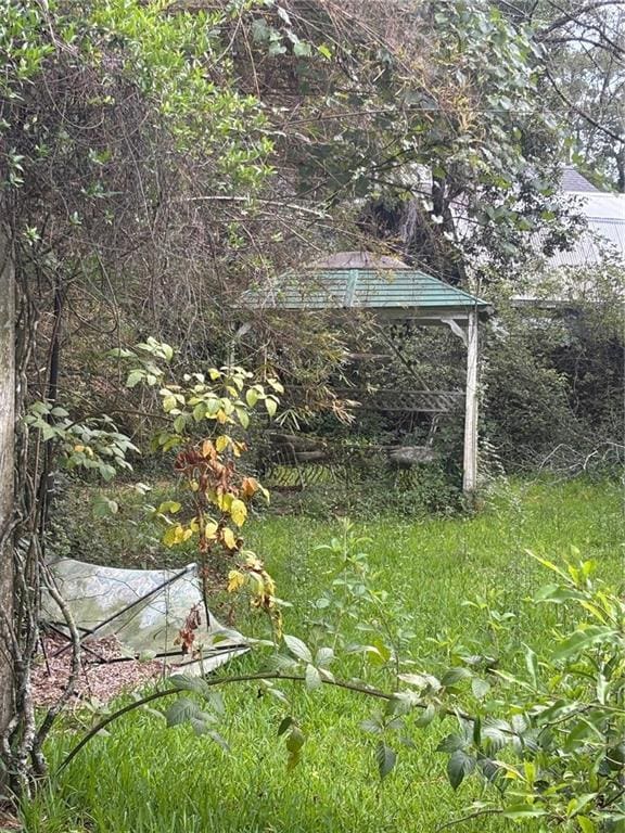 72075 Gum St, Abita Springs, LA 70420 - view of yard