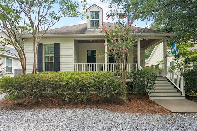 906 W 9th Ave, Covington, LA 70433 - photo 2