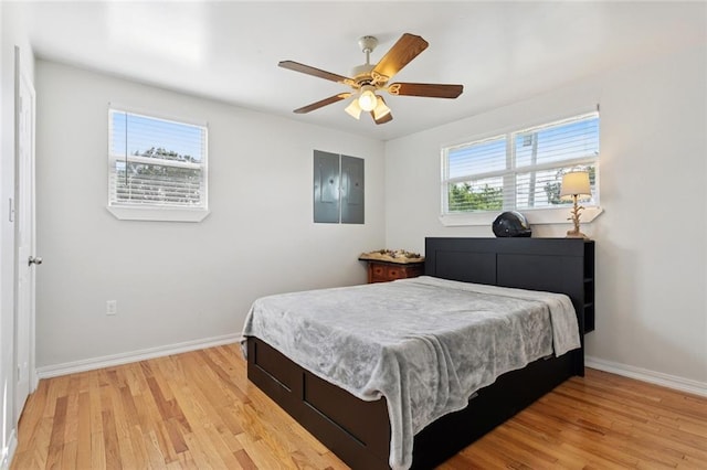 243 Carr Dr, Slidell, LA 70458 - bedroom featuring light wood finished floors and ceiling fan