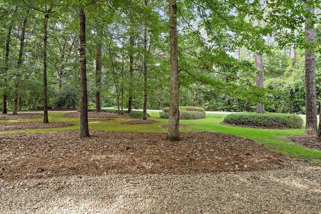 9 Elizabeth Dr, Covington, LA 70435 - photo 3