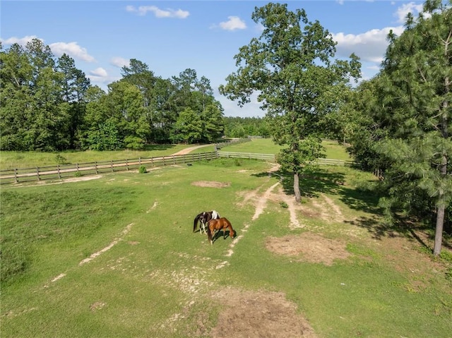 266 Wpa Rd, Ms, MS 39459 - view of property's community with a rural view