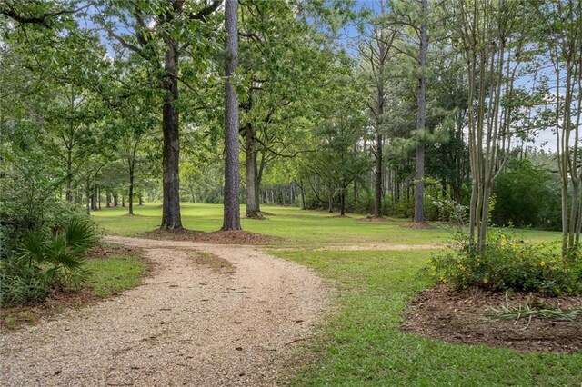 266 Wpa Rd, Ms, MS 39459 - surrounding community with a yard