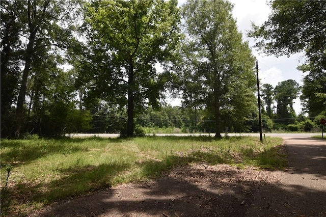 001 Wilson Ln, Pearl River, LA 70452 - photo 1