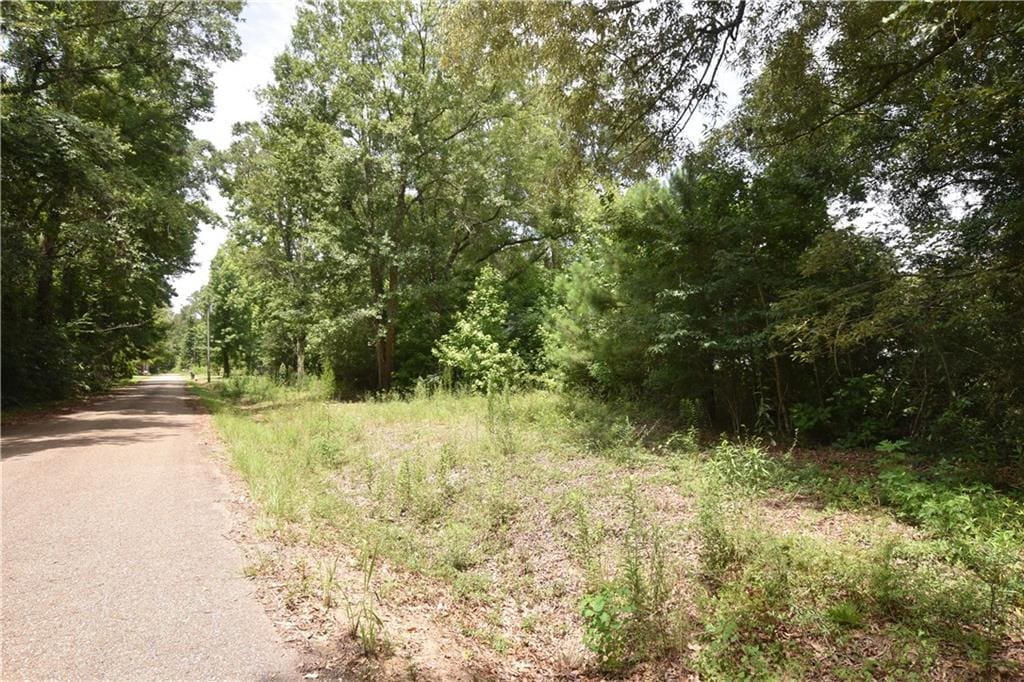 001 Wilson Ln, Pearl River, LA 70452 - photo 2