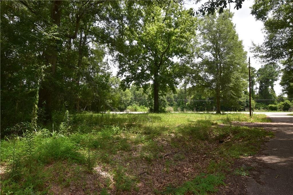 001 Wilson Ln, Pearl River, LA 70452 - photo 3