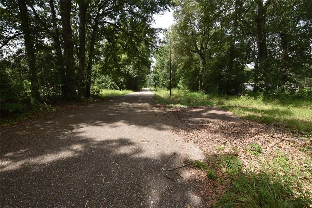001 Wilson Ln, Pearl River, LA 70452 - photo 4