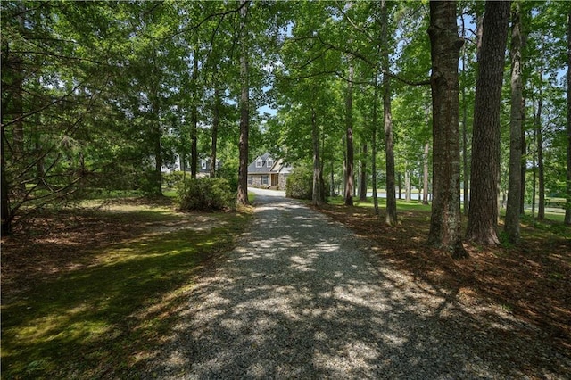 100 Secretariat Ct, Bush, LA 70431 - photo 2