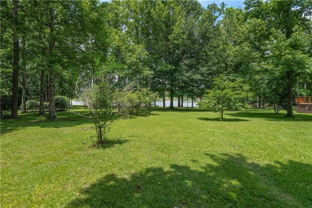 100 Secretariat Ct, Bush, LA 70431 - photo 24