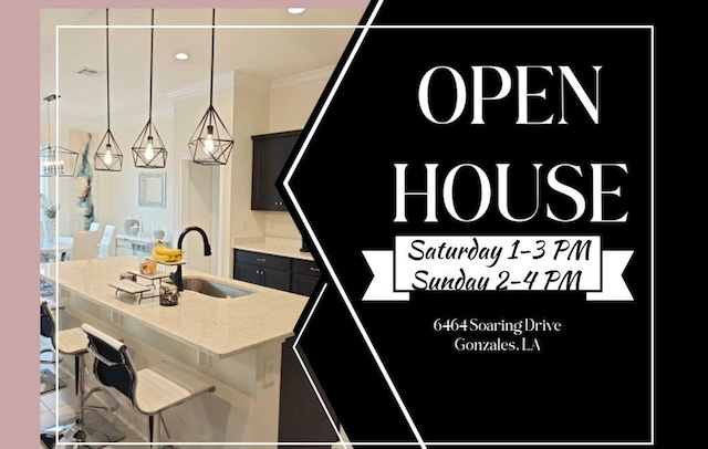 6464 Soaring Dr, Gonzales, LA 70737 - photo 1