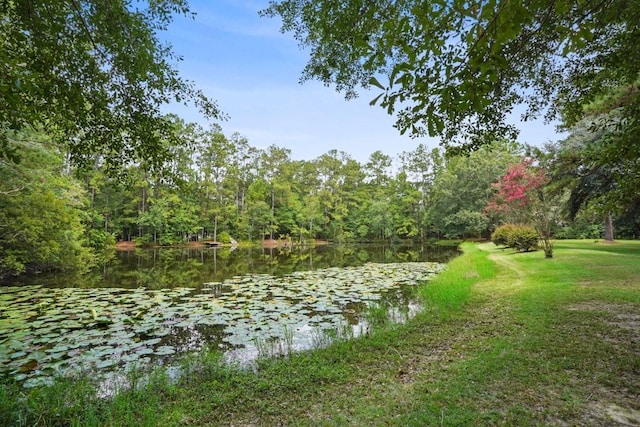 16233 Cody Ln, Covington, LA 70435 - water view featuring a heavily wooded area
