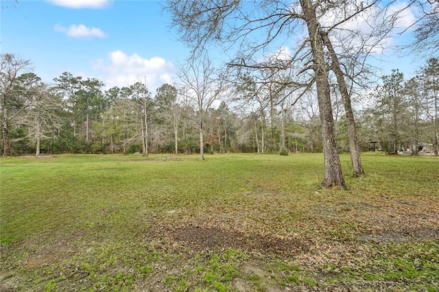 73030 Buds Ln, Covington, LA 70433 - photo 20