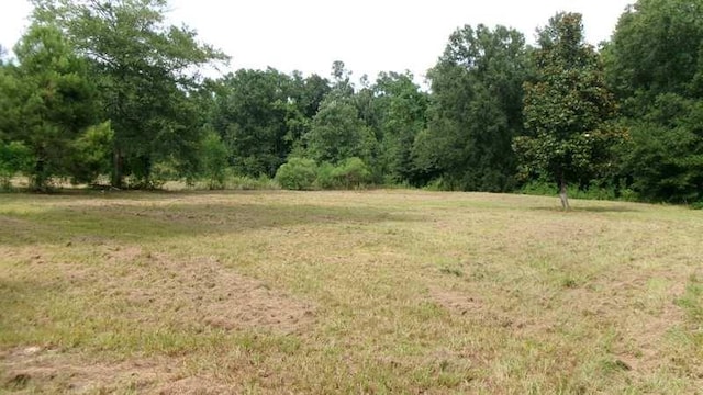 19127 Alia Ln, Hammond, LA 70403 - photo 1